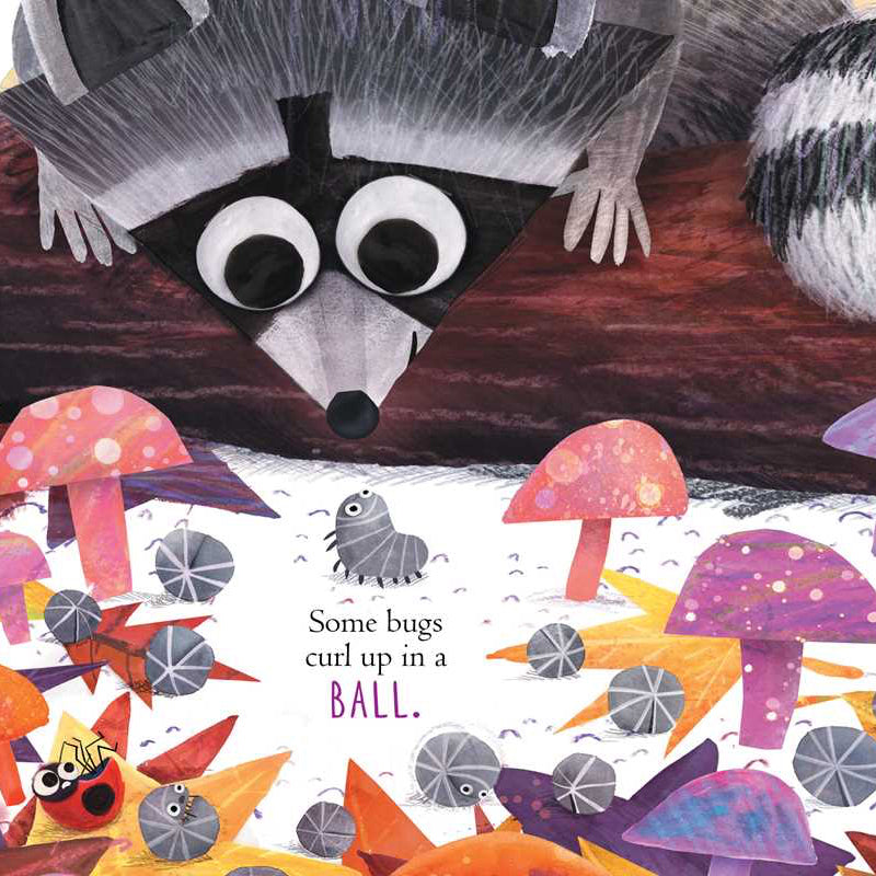 Illustrated book page with a raccoon, mushrooms, and text about bugs.