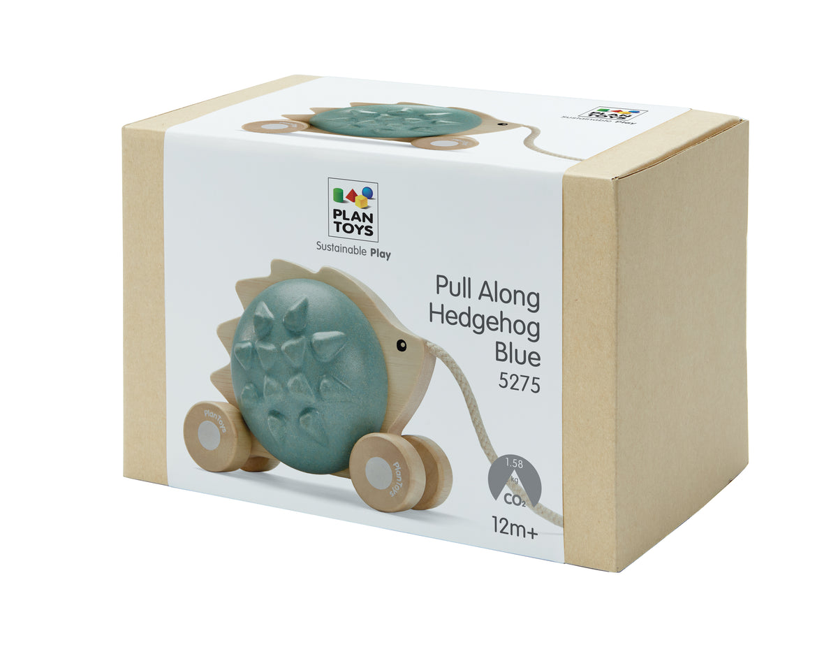 Pull Along Hedgehog