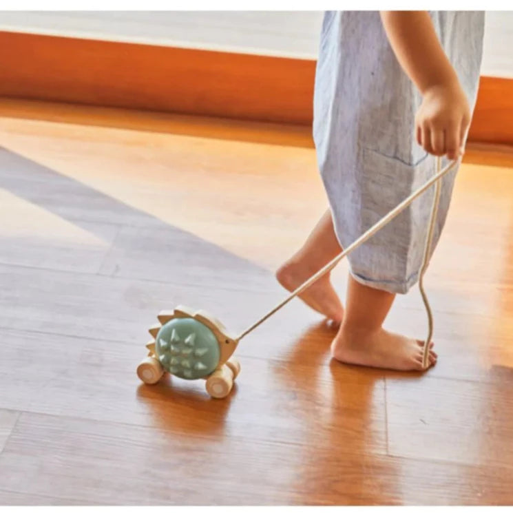 Pull Along Hedgehog