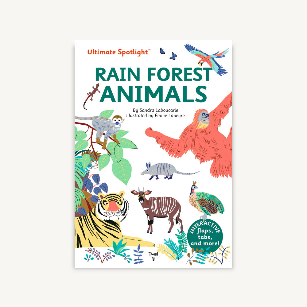 Rainforest Animals