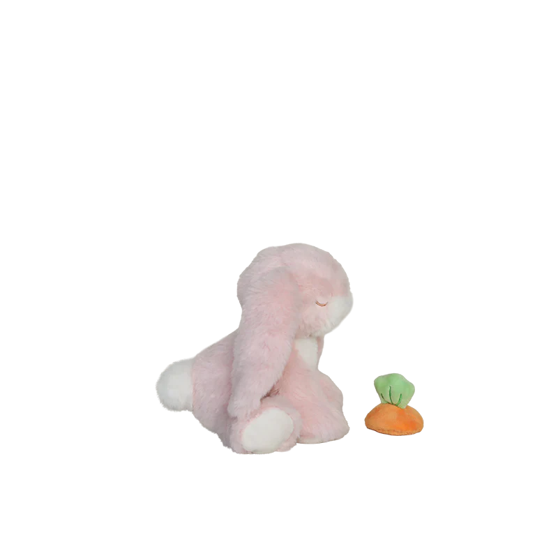Pink plush buuny toy with a small carrot on a white background