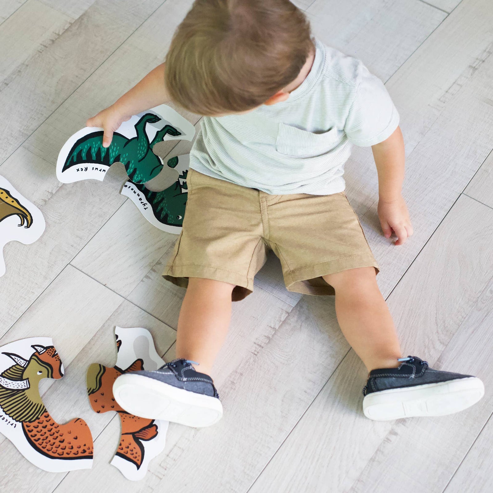 Box of dinosaur puzzles for beginners on a white background