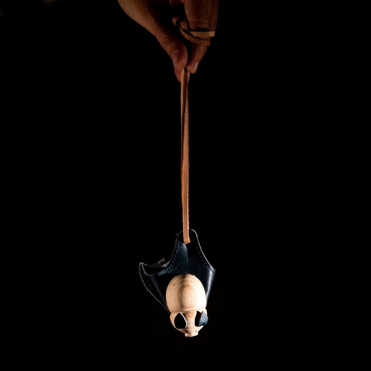 Sleeping Horseshoe Bat