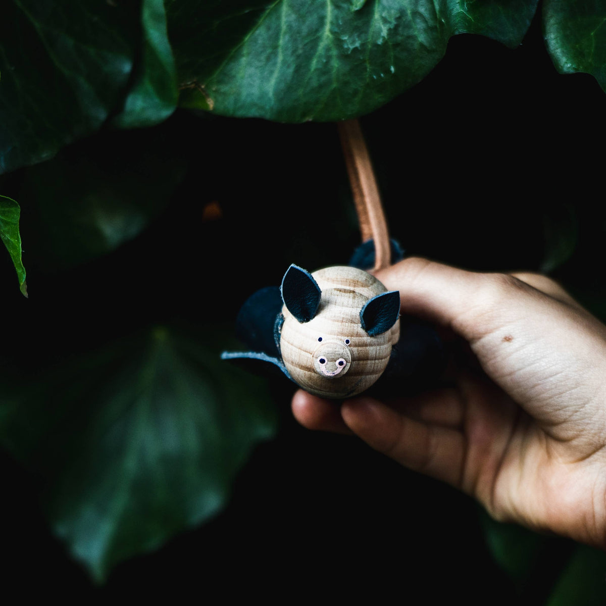 Sleeping Horseshoe Bat