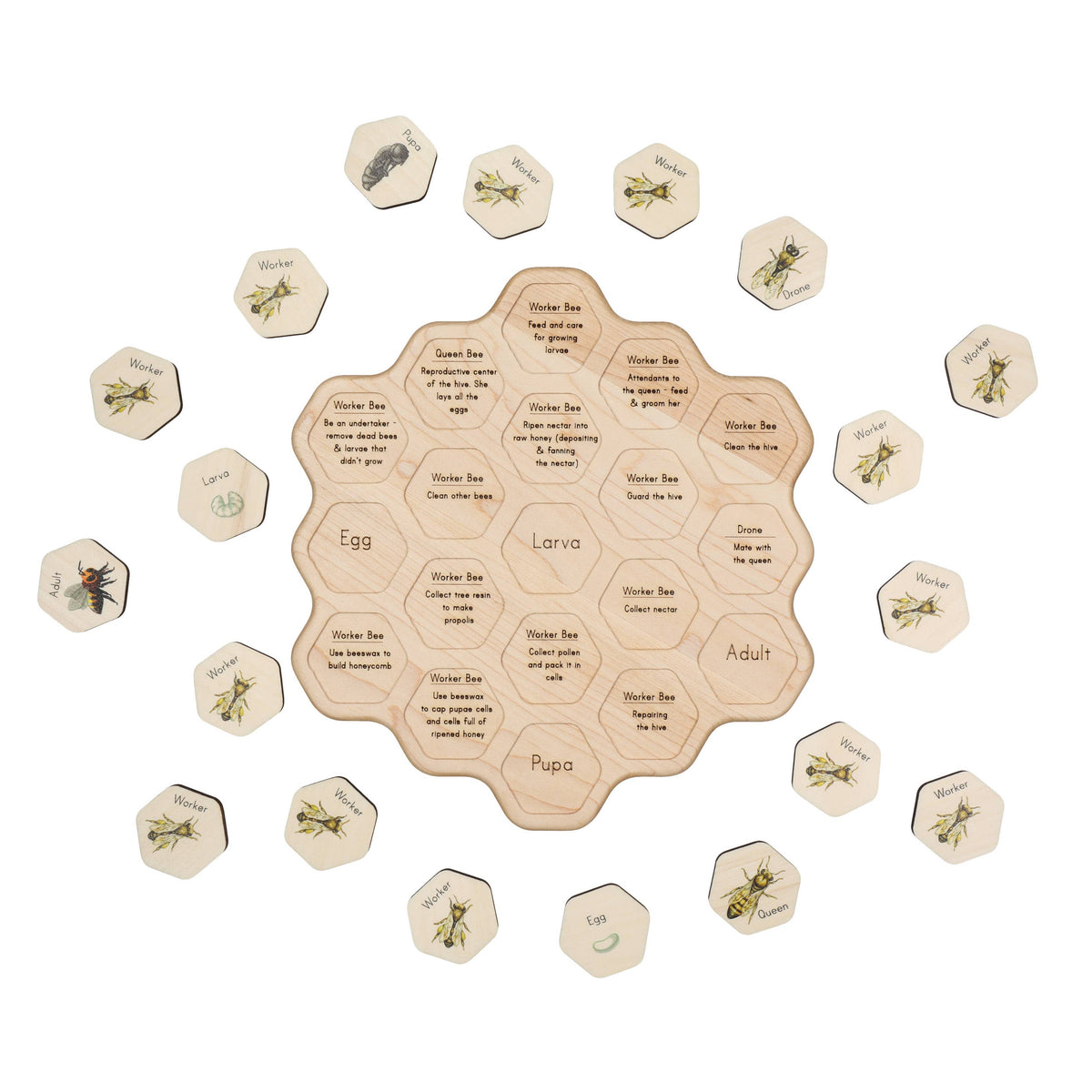 Honey Bee Puzzle
